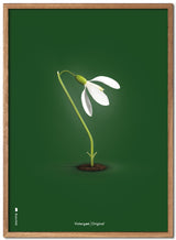Brainchild – Plakat – Klassisk – Grønn – Snøklokke