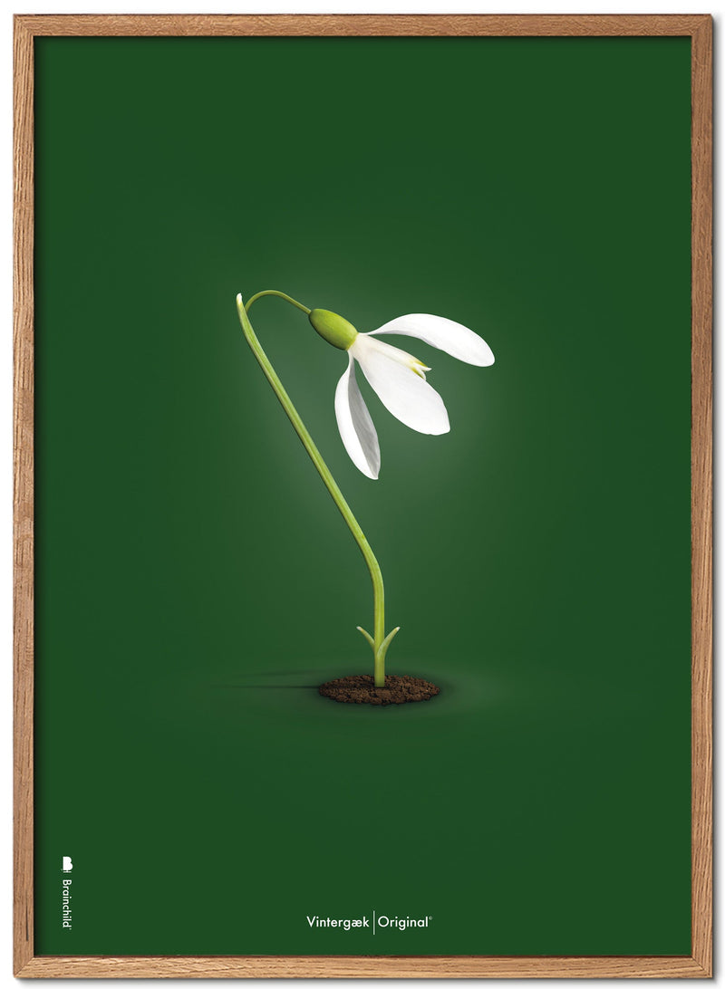 Brainchild – Plakat – Klassisk – Grønn – Snøklokke